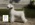 Schnauzer Blanco Madrid DE LOS CASTIZOS