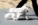 Schnauzer Blanco Madrid DE LOS CASTIZOS
