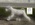 Schnauzer Blanco Madrid DE LOS CASTIZOS