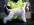 Schnauzer Blanco Madrid DE LOS CASTIZOS