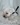 Schnauzer Blanco Madrid DE LOS CASTIZOS