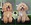 Peluqueria Canina Las Rozas Patucas