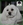 PATUCAS Peluqueria Canina