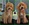 Peluqueria Canina Las Rozas Patucas