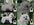 PATUCAS Peluqueria Canina
