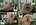 PATUCAS Peluqueria Canina