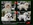 PATUCAS Peluqueria Canina