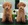 Peluqueria Canina Las Rozas Patucas