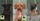 Peluqueria Canina Las Rozas
