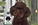 PATUCAS Peluqueria Canina