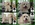PATUCAS Peluqueria Canina