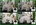 PATUCAS Peluqueria Canina
