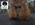 PATUCAS Peluqueria Canina