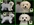 PATUCAS Peluqueria Canina Las Rozas