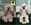 Peluqueria Canina Las Rozas Patucas
